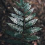 灯塔导航官网入口:轻松获取最新导航服务与信息 3l1oz97