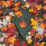 火鸡影视:探索火鸡影视背后的创作故事与精彩作品 y47attjr