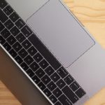 海棠花种类及其独特魅力解析 zzoc7t2