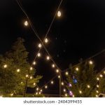 白飘着联盟的粉丝:追寻梦想与热爱的旅程 26zlj02161