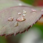 疯马秀官网:探索巴黎经典表演的魅力与精彩瞬间 3i9cc