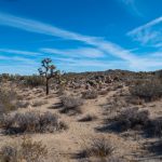 白丝象征出水之美,探讨其背后的文化意义 c2nbezc3