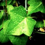 病勤楼栋动画系列第1至第10集精彩回顾与分析 lq6i0