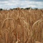 病勤楼栋第1季动画与漫画全解析:剧情、角色与精彩看点 whi3tnla