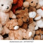 白票者聯盟app:打造透明公正的投票平台,助力民主参与 y2r6t7t84